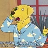 关机大吉